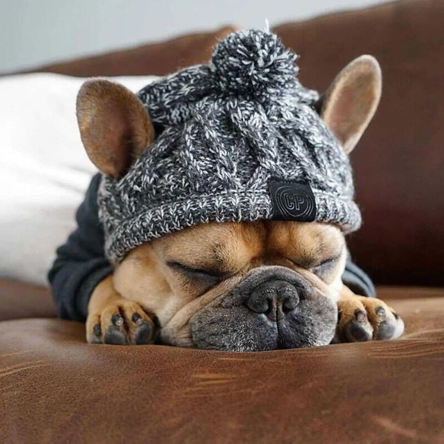 Winter Warm Dog Hats Windproof Woolen Knitting French Bulldog Hat Woven Hat For Bago Plush Ball Puppy Accessories Pet Hat S8T5