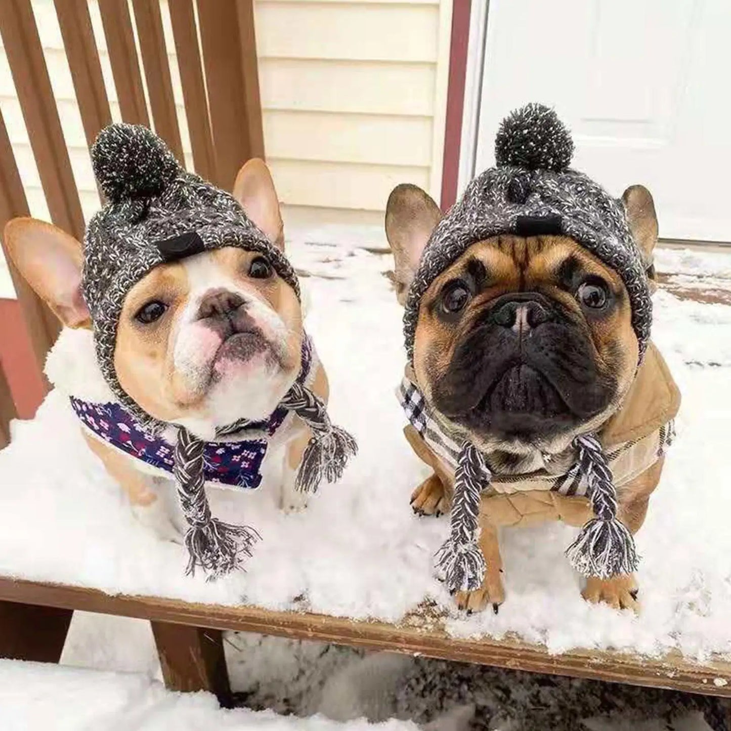 Winter Warm Dog Hats Windproof Woolen Knitting French Bulldog Hat Woven Hat For Bago Plush Ball Puppy Accessories Pet Hat S8T5