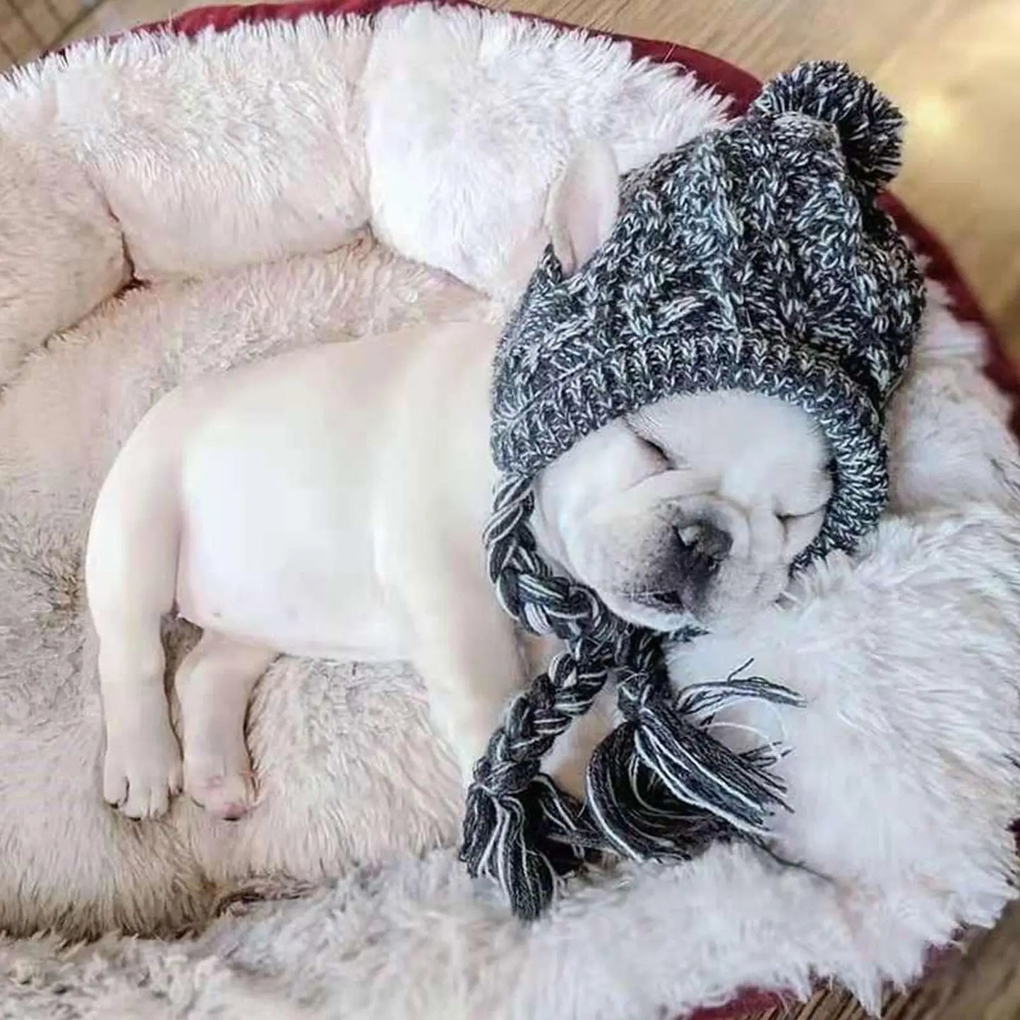 Winter Warm Dog Hats Windproof Woolen Knitting French Bulldog Hat Woven Hat For Bago Plush Ball Puppy Accessories Pet Hat S8T5