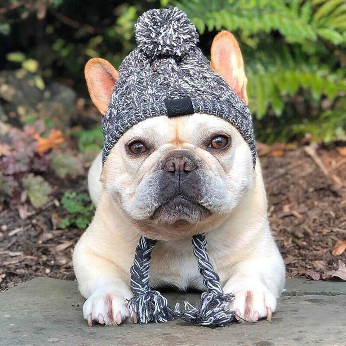 Winter Warm Dog Hats Windproof Woolen Knitting French Bulldog Hat Woven Hat For Bago Plush Ball Puppy Accessories Pet Hat S8T5